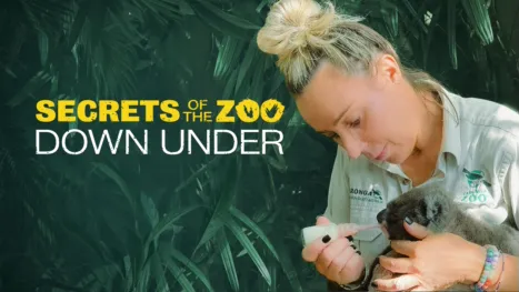 thumbnail - Secrets Of The Zoo: Down Under