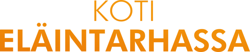 Koti eläintarhassa