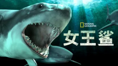 thumbnail - 女王鲨