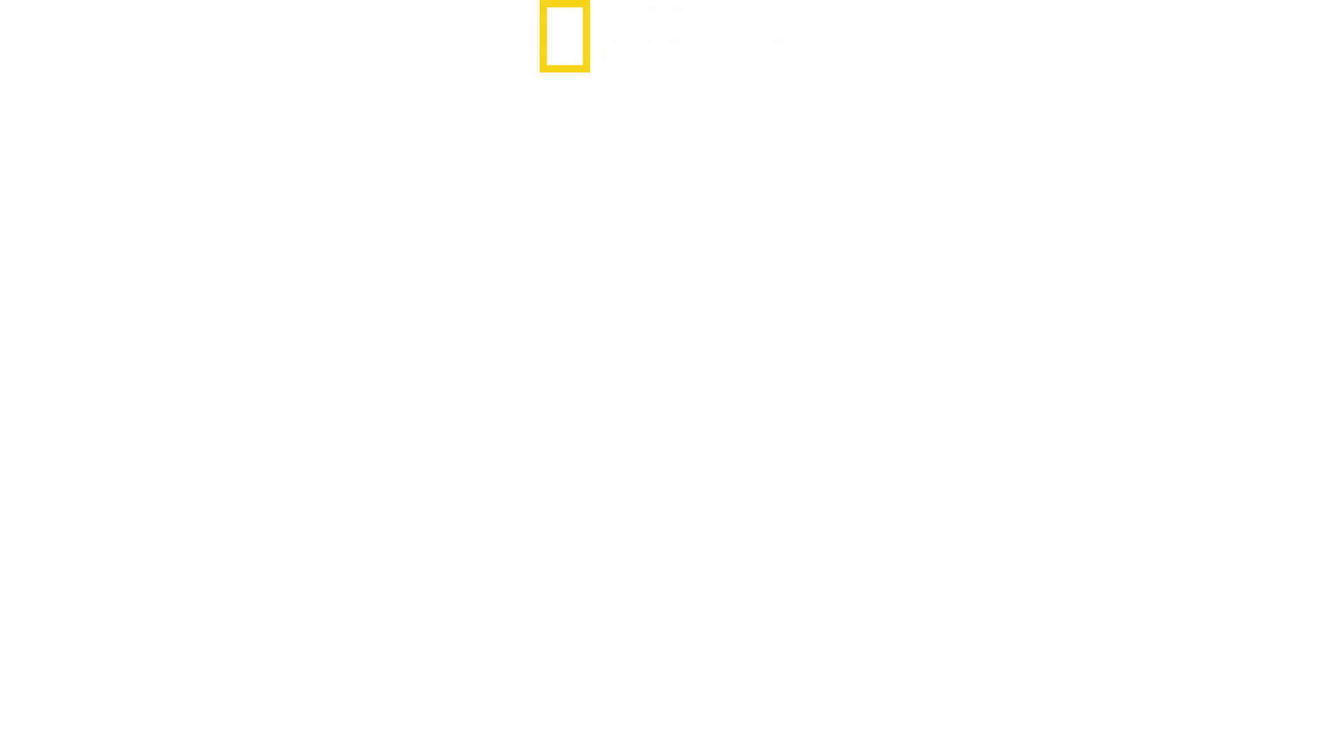World's Most Dangerous Shark?