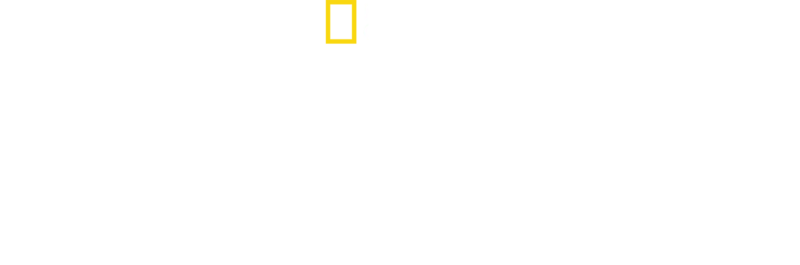 ‪United Sharks of America‬