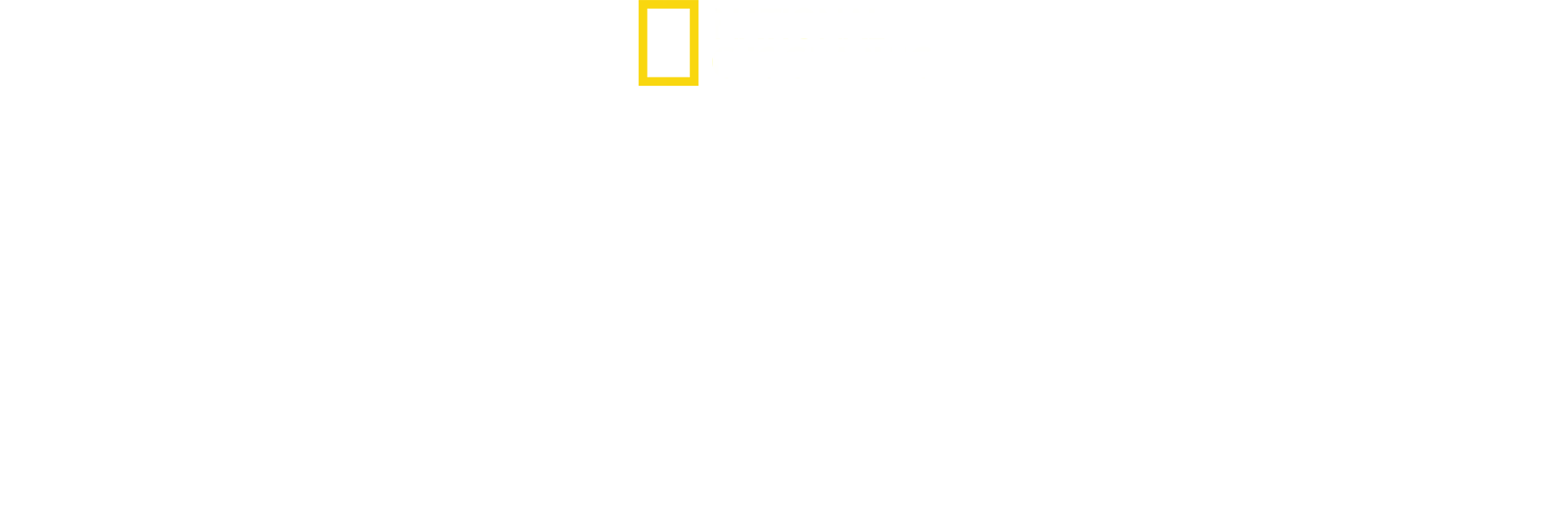 United Sharks of America