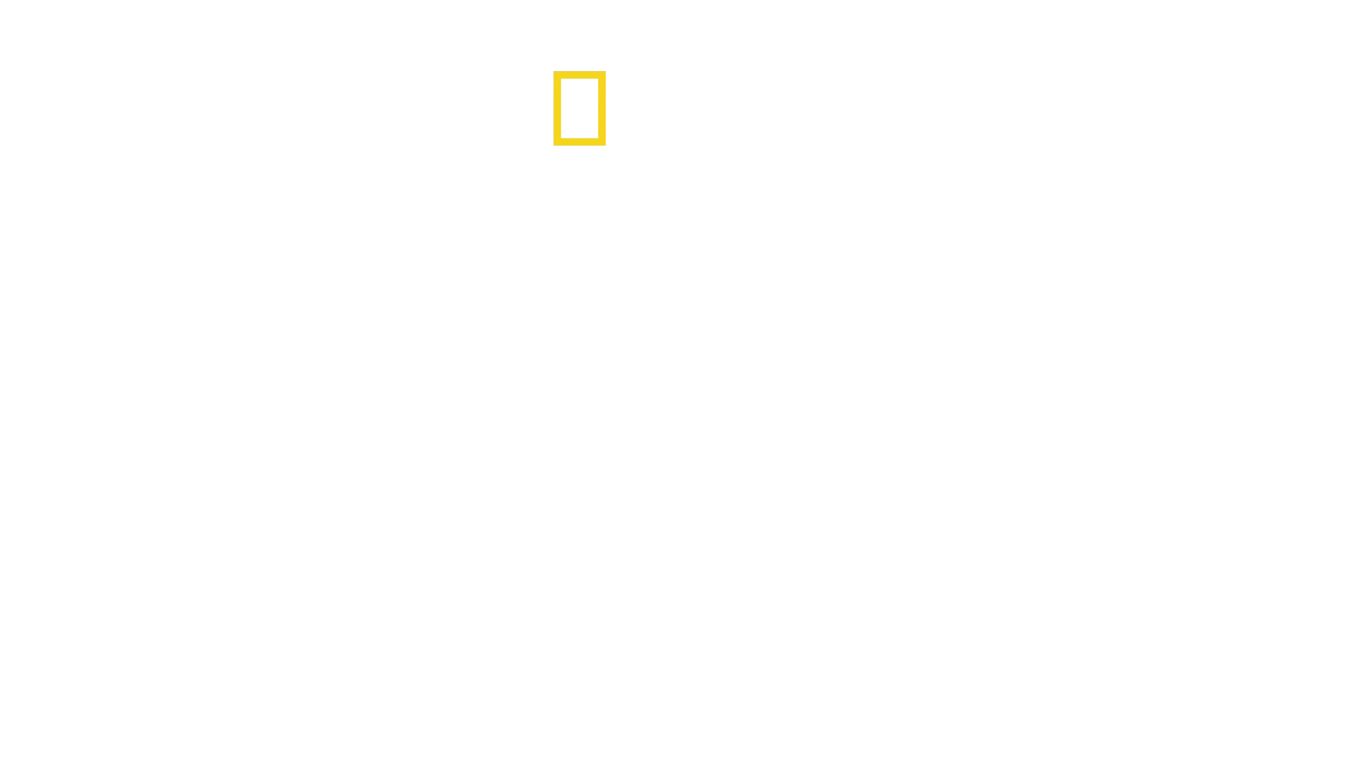Bobi Wine - głos sprzeciwu