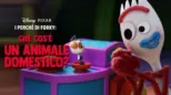 thumbnail - I perché di Forky: Che cos'è un animale domestico?