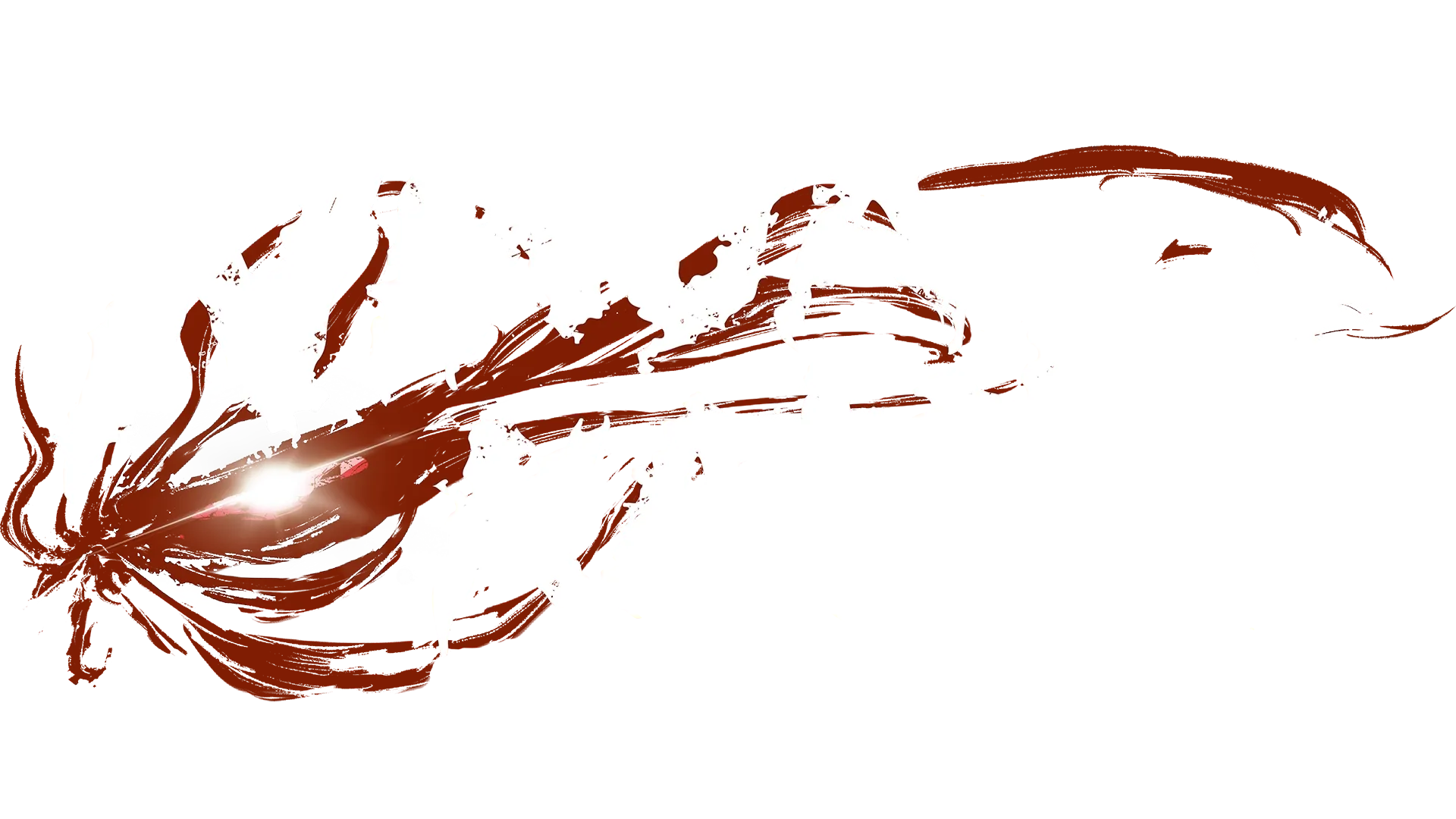 NINJA KAMUI