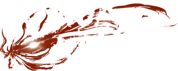 NINJA KAMUI