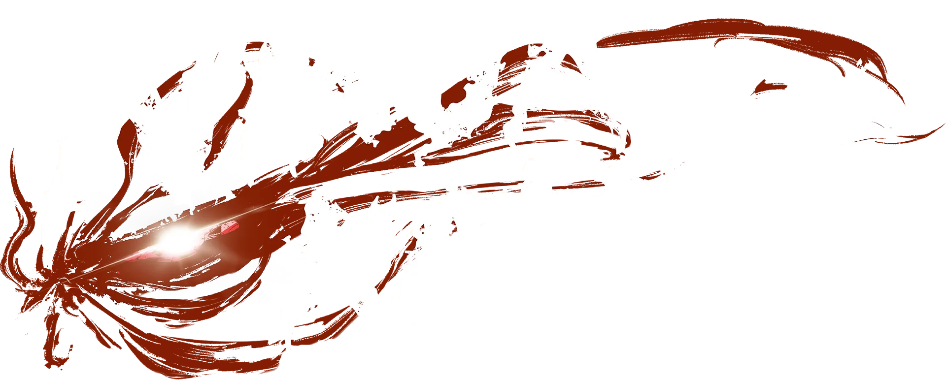 NINJA KAMUI