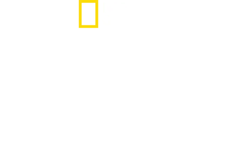 에베레스트 탐험대