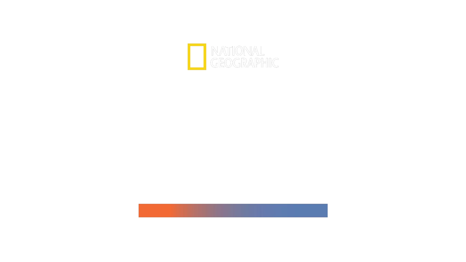 Den kæmpe hammerhaj