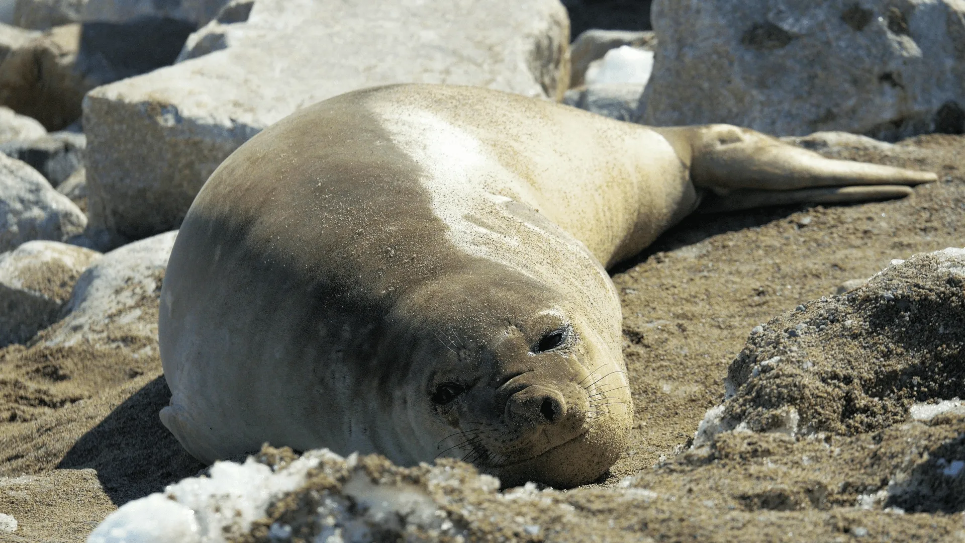 thumbnail - S1:E7 Antarctica