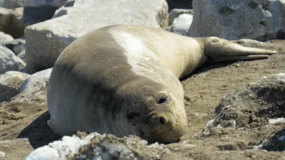 thumbnail - S1:E7 Antarctica