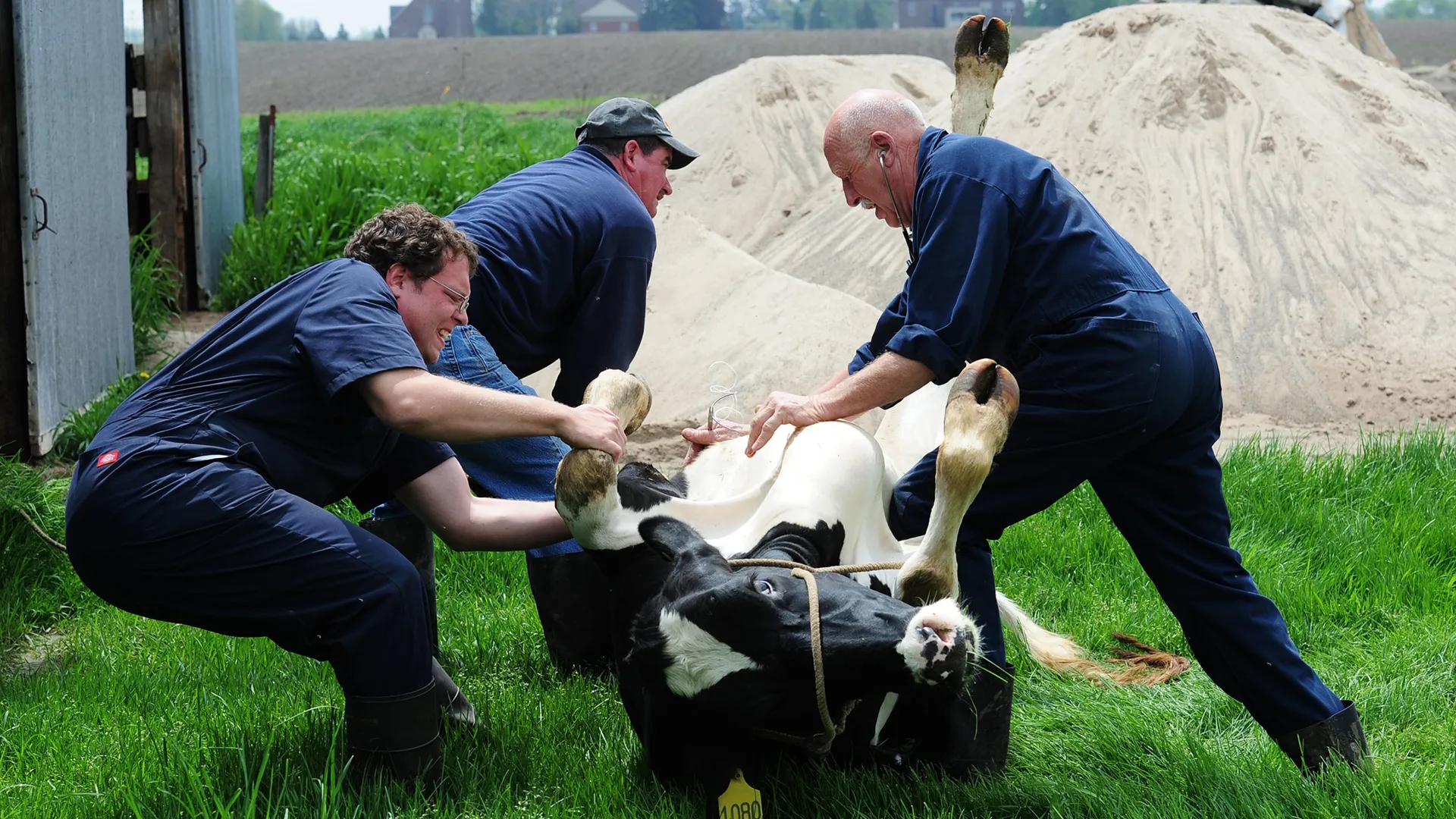 thumbnail - S1:E4 Got Your Goat