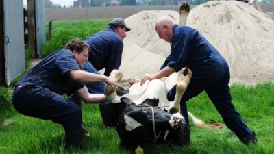 thumbnail - S1:E4 Got Your Goat