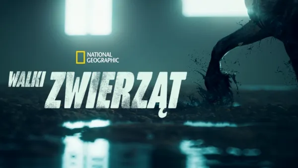 thumbnail - Walki zwierząt