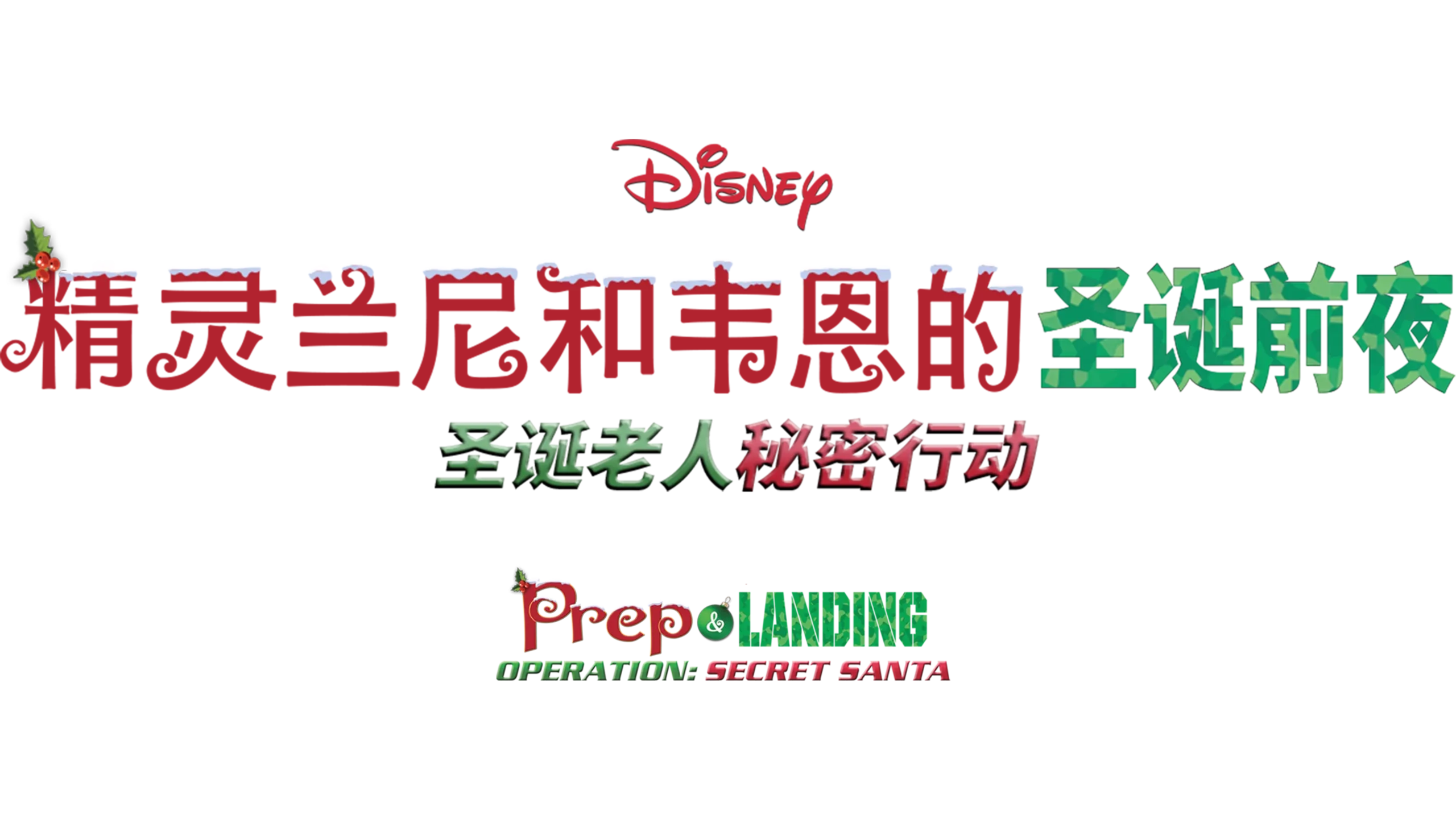 精灵兰尼和韦恩的圣诞前夜：圣诞老人秘密行动