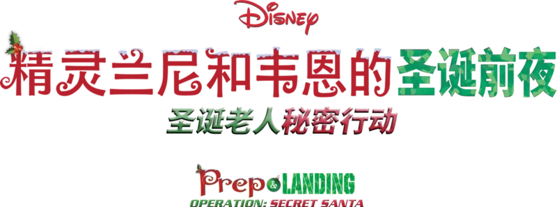 精灵兰尼和韦恩的圣诞前夜：圣诞老人秘密行动
