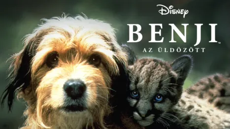 thumbnail - Benji, az üldözött
