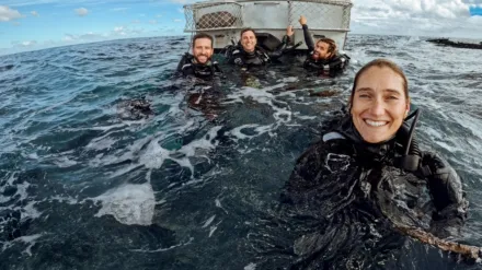 Cazadores de Naufragios en Australia