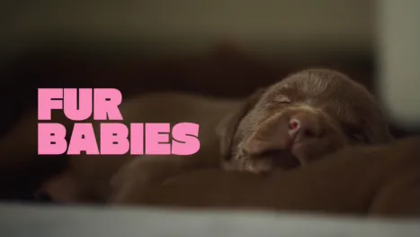 thumbnail - Fur Babies