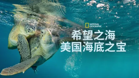 thumbnail - 希望之海：美国海底之宝