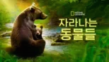 thumbnail - 자라나는 동물들