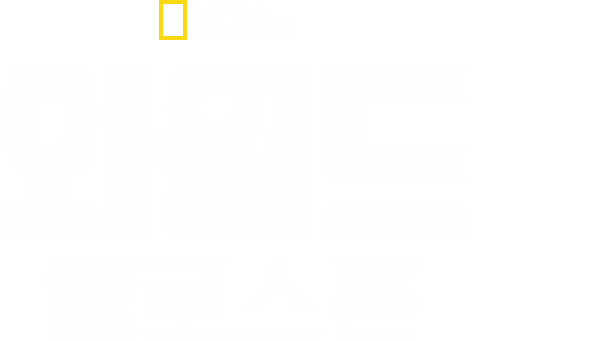 와일드 옐로스톤