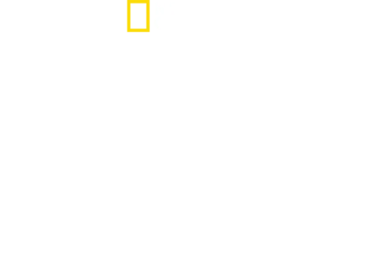 와일드 옐로스톤