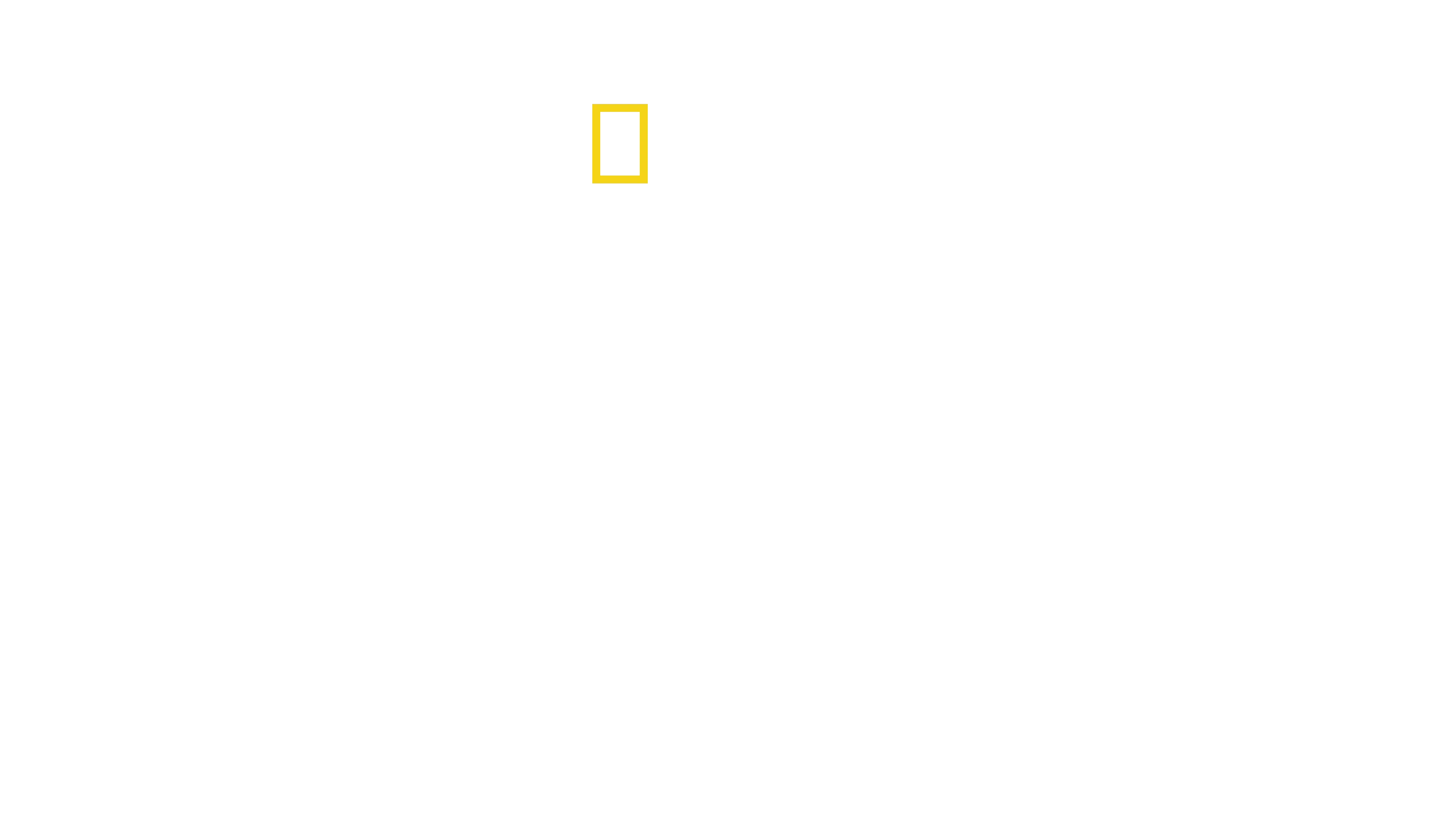 Game of Sharks