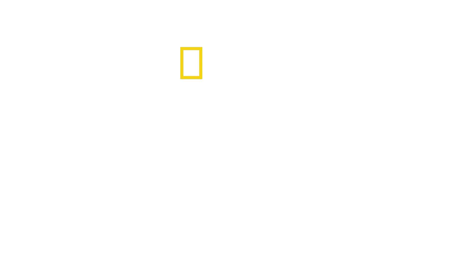 La fábrica de banderas