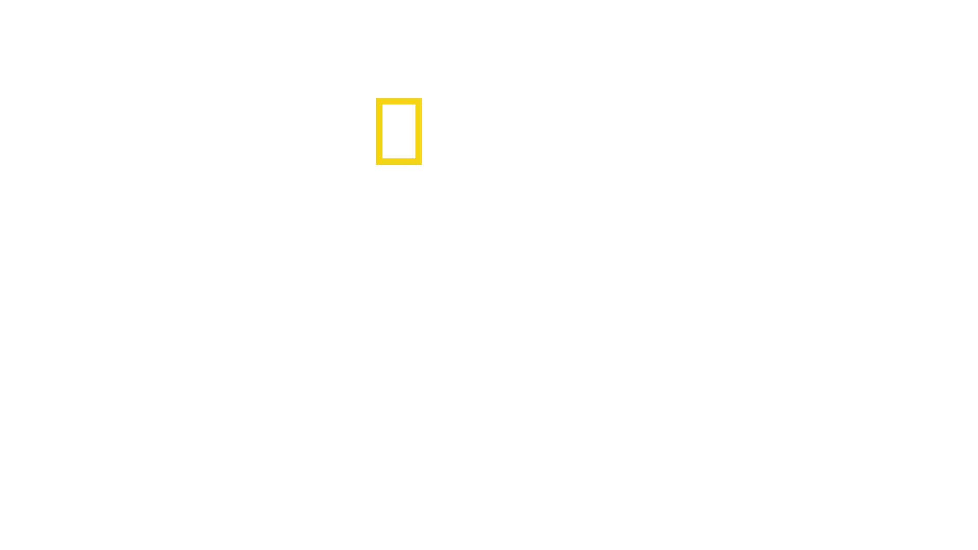 La fábrica de banderas