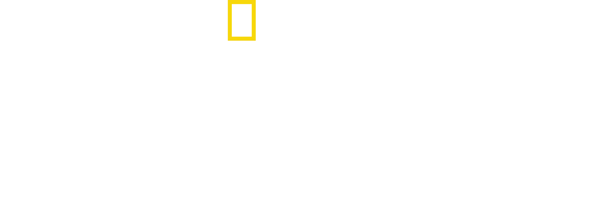 La fábrica de banderas