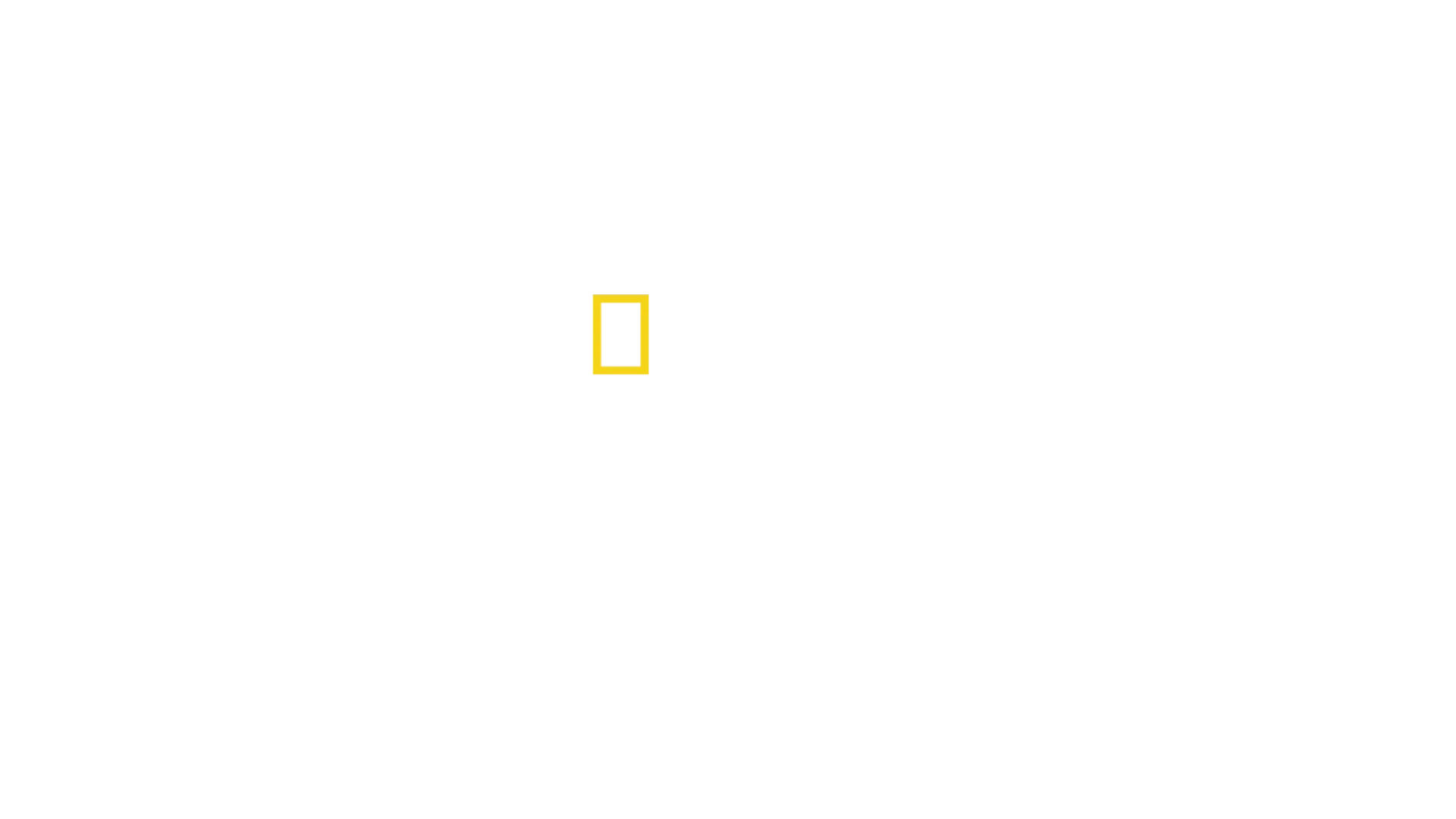 Hai vs. Krokodil