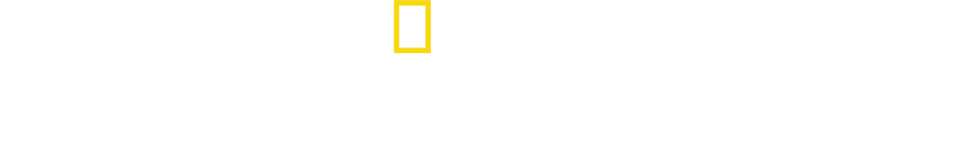 Hai vs. Krokodil