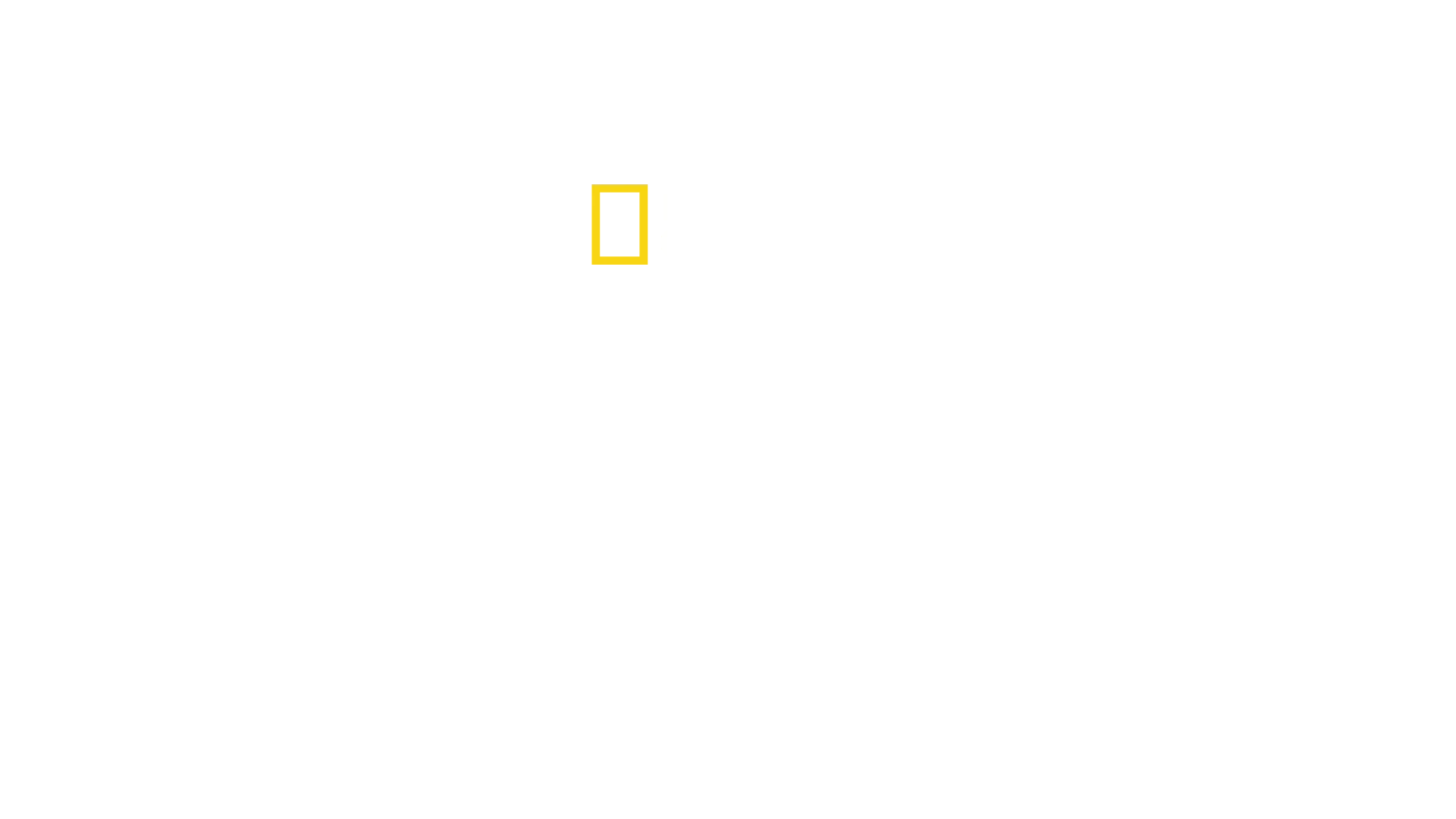 Tubarões Temíveis