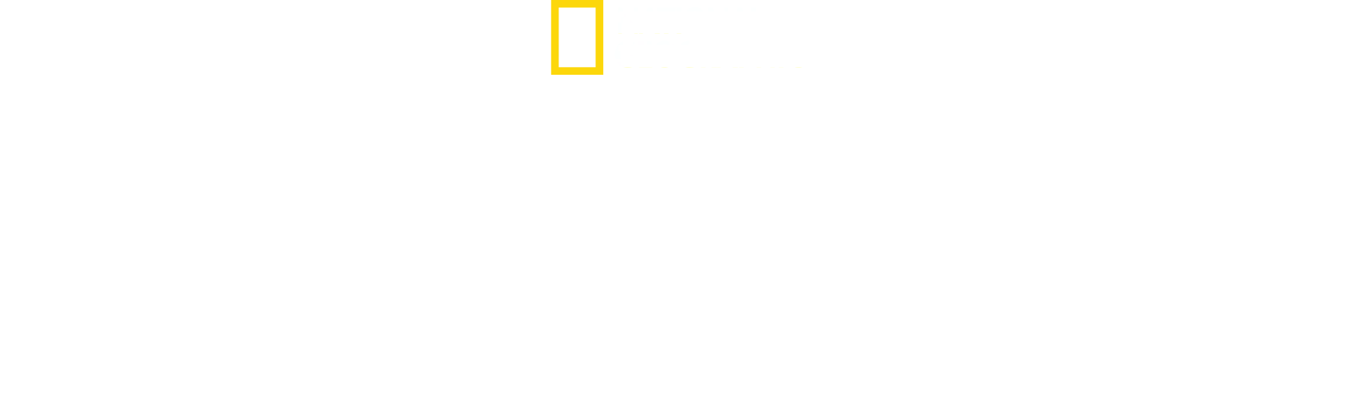 Tubarões Temíveis