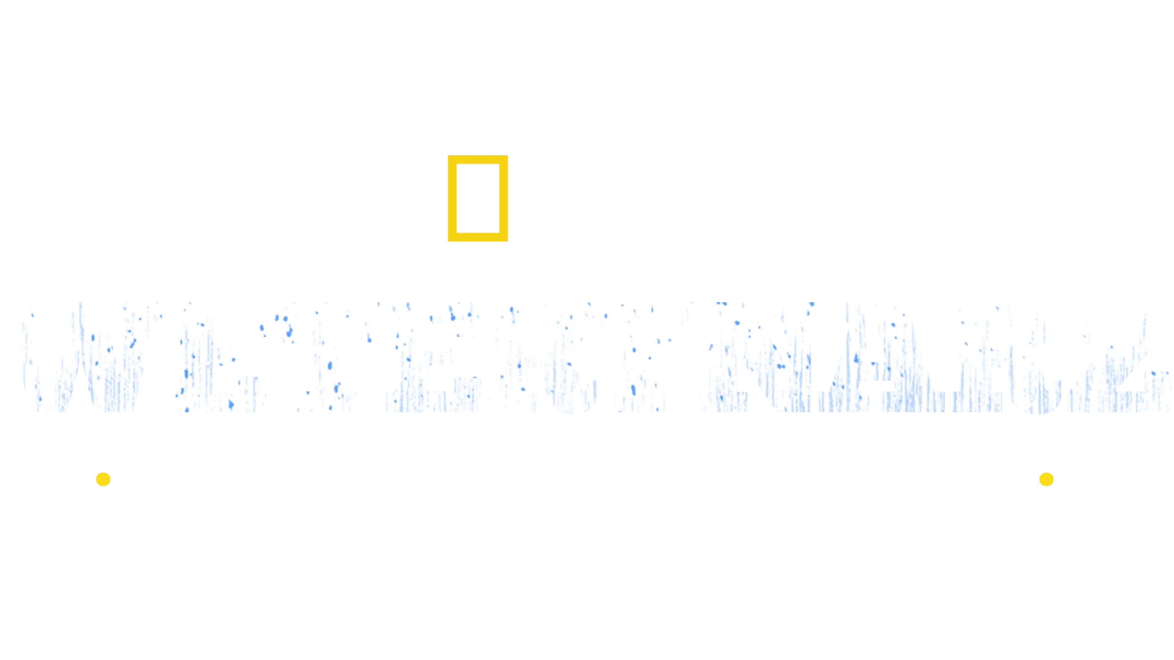 Weterynarz z powołania