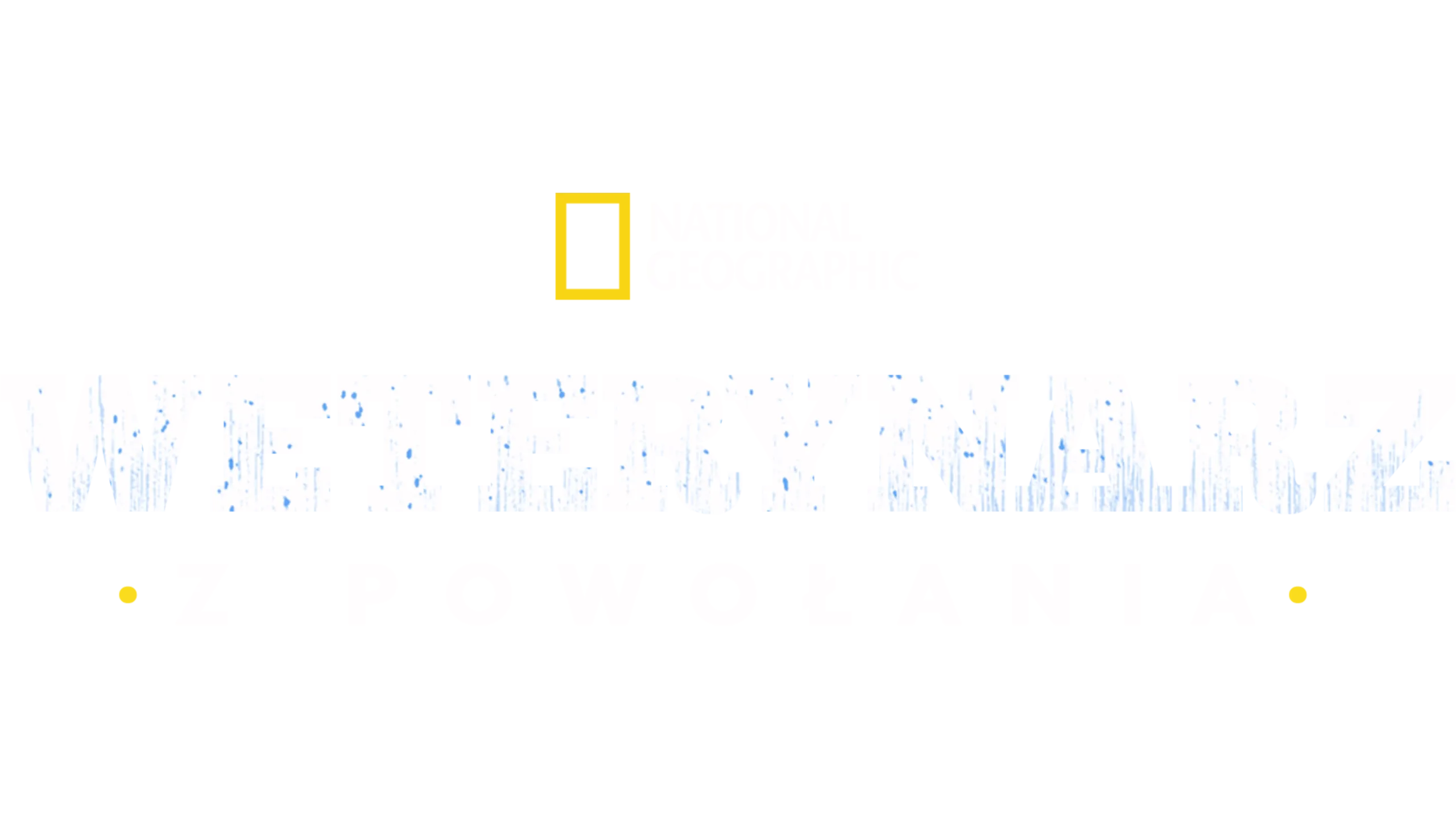 Weterynarz z powołania