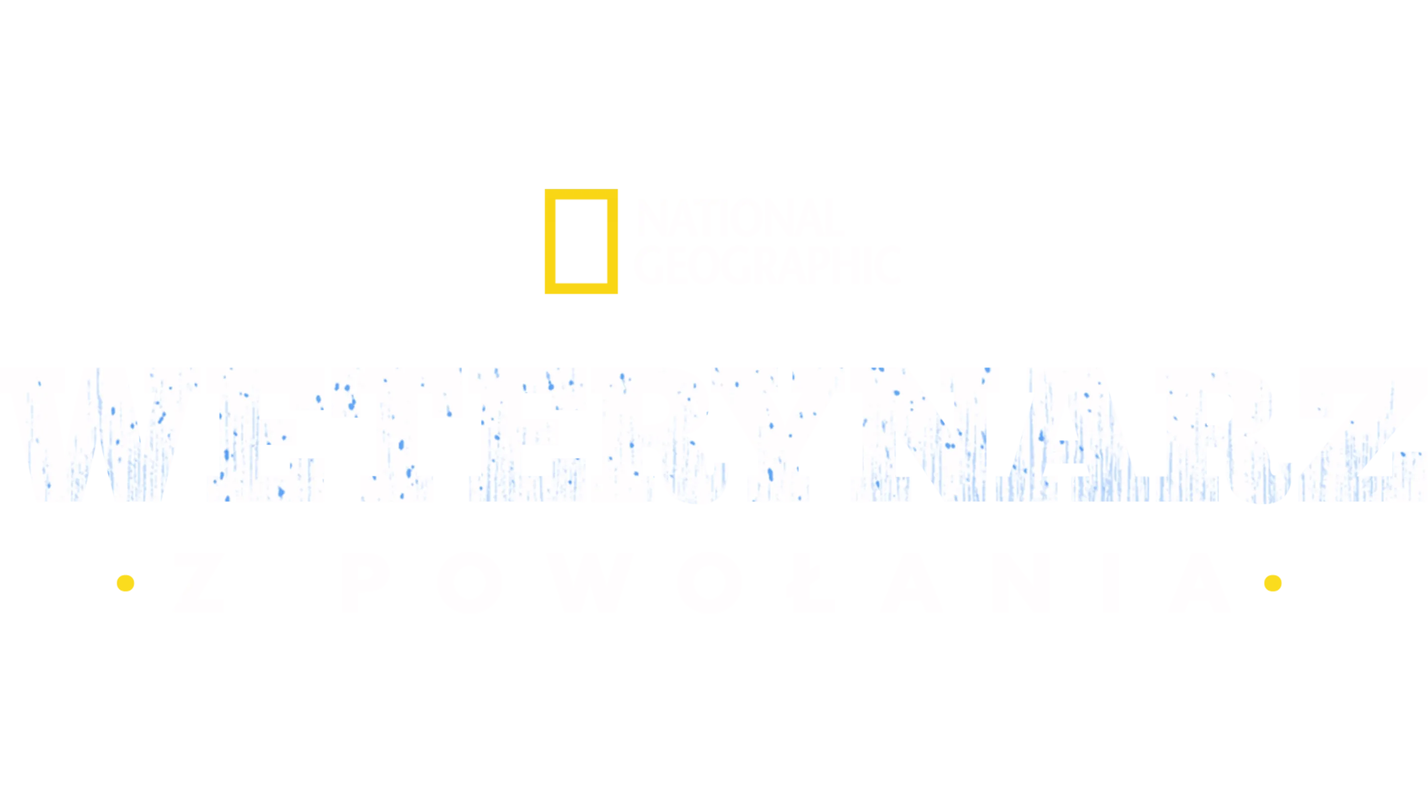 Weterynarz z powołania