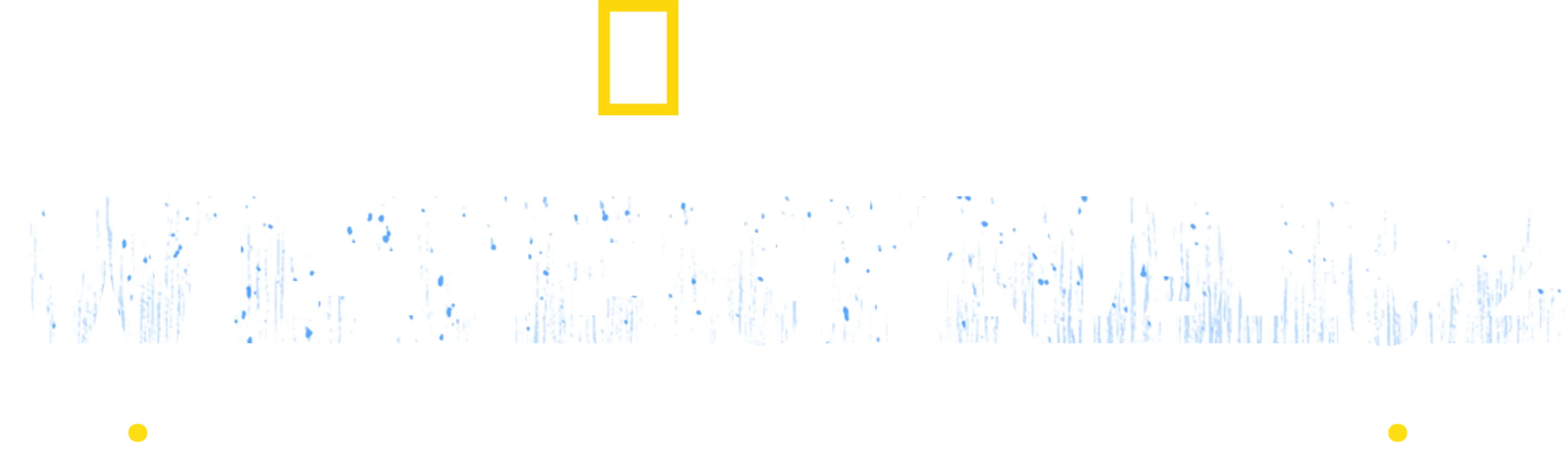 Weterynarz z powołania