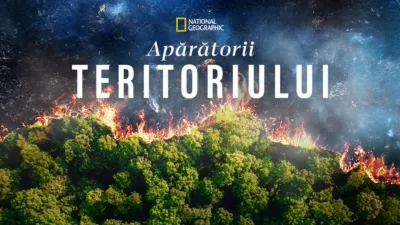 Apărătorii Teritoriului