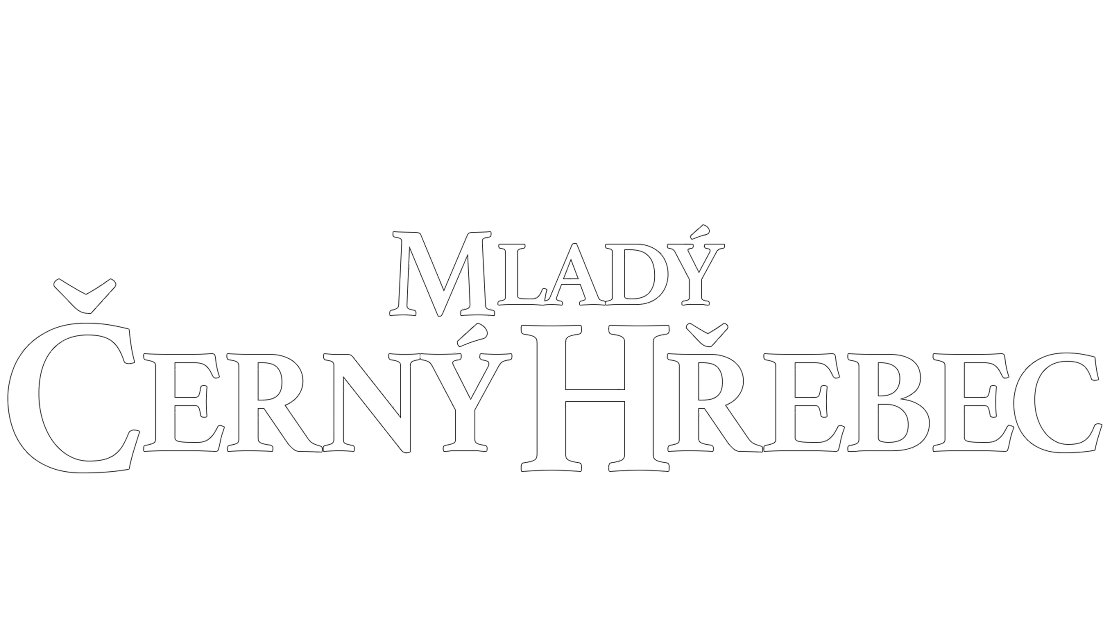 Mladý černý hřebec