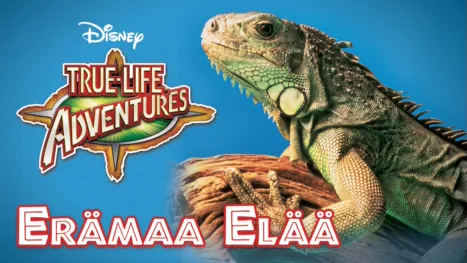thumbnail - Erämaa elää