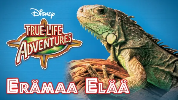 thumbnail - Erämaa elää