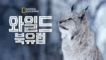 thumbnail - 와일드 북유럽