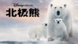 thumbnail - 北极熊