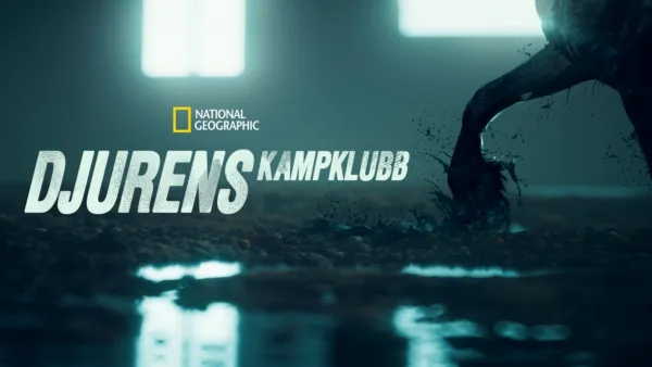 thumbnail - Djurens kampklubb