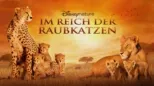 thumbnail - Im Reich der Raubkatzen