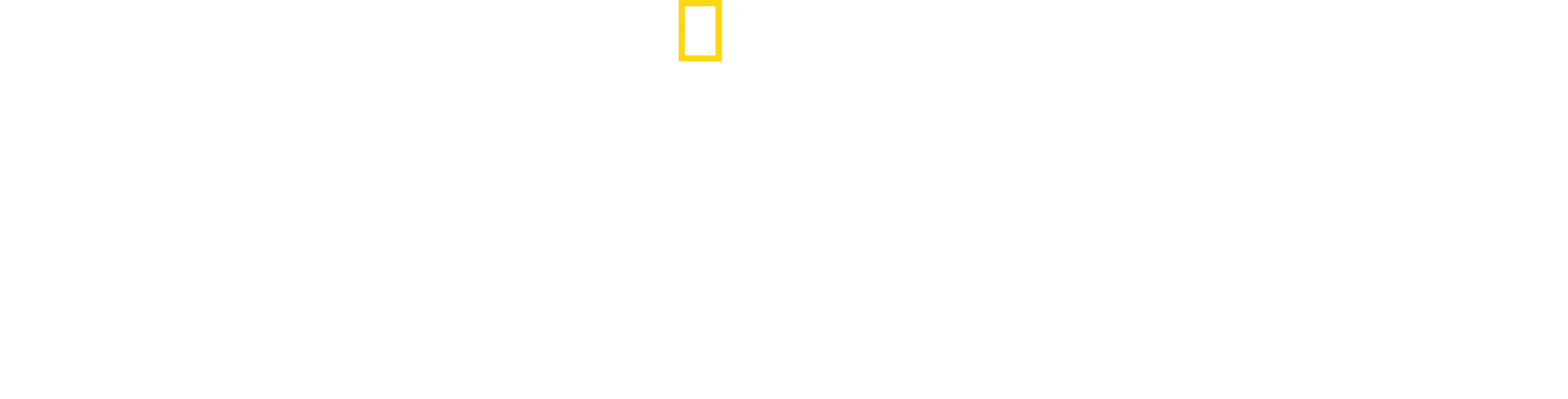 Pohotovost pro exotická zvířata