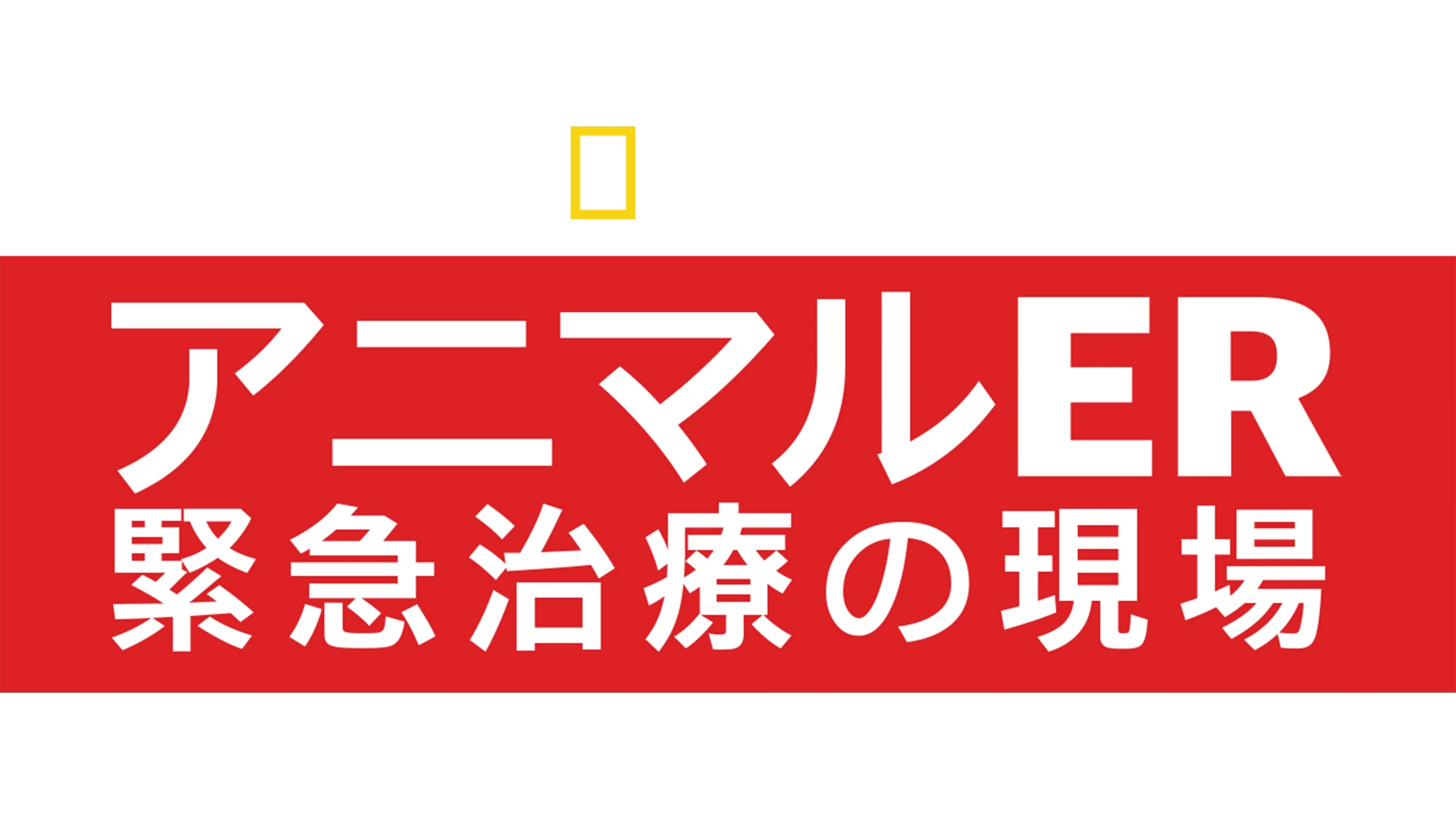アニマルER 緊急治療の現場