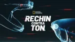 thumbnail - Rechin contra ton